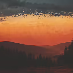 many birds are flying over a sunset