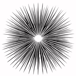 a circular sun burst pattern with a black and white background