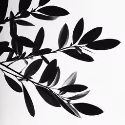 a branch with some leaves in it