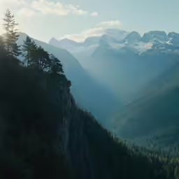 the trees near the mountain have snow on them