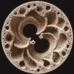 a circular pattern of stones made up of circles and dots