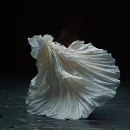 a very artistic shot of a ball gown on dark
