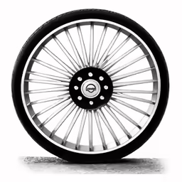 black and white photo of spoke wheels with white rim