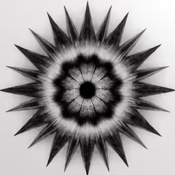 a black and white photograph with a hole in the center