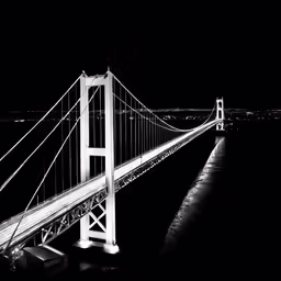 a black and white photograph of the bridge