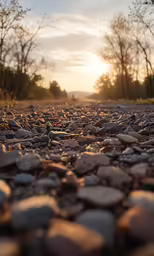 this is a gravel road with grass and bushes next to it