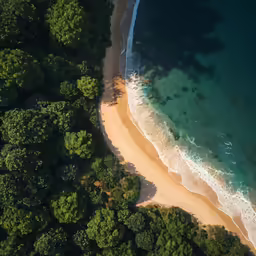 an aerial view of the beach and wooded shoreline