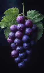 some grapes that are on the vine