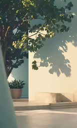 a lone bench under a tree next to a white wall