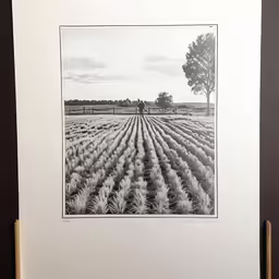 a black and white photo of a farm land