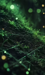 grass with yellow boke dots on it