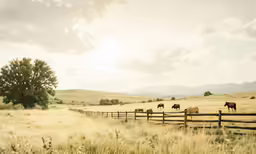 several animals are standing near a fence