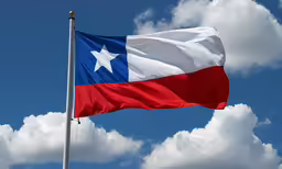 an texas state flag flying in the wind