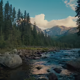 river running through forest surrounded by rocks and trees