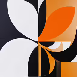 an image of abstract paintings with an orange and white design