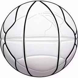 a picture of a white volleyball with a black stripe,an isolated white volleyball ball with black and white dotted lines,the basketball ball is white and has black lines on it,the inside of a white plastic basketball,the image is of a basketball ball drawn in line
