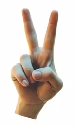 a person with their hand up in the shape of a peace sign