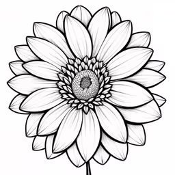 a drawing of a flower on paper,an image of a flower drawing