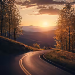 a curvy curved road with trees on the side