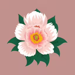 two white flowers with green leaves on pink background,a pink flower with green leaves in a flat style