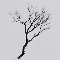 a tree is standing in a snowy field