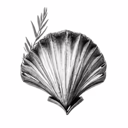 the shell shape is an abstract black and white painting