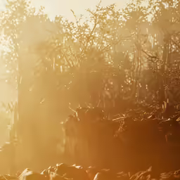 the back end of a bird standing in the sun