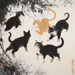 four cats jumping in front of a tree and a picture of two cats