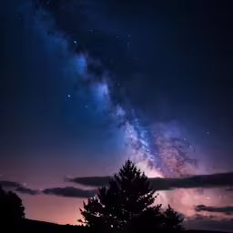 there is a small tree next to the sky