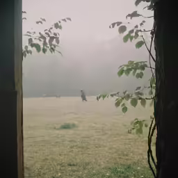 a lone man standing in the distance surrounded by trees