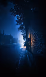 it is dark, foggy night outside with a street light in the dark