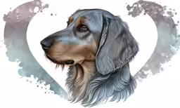 the portrait of a dachshund in front of a watercolor heart