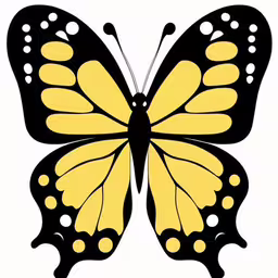 a yellow butterfly with big, black wings,a butterfly that is yellow and black