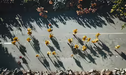 a group of ducks floating next to each other on a water