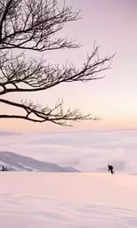 a person is skiing in the snow with no trees