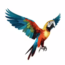 a multicolored bird with its wings spread out