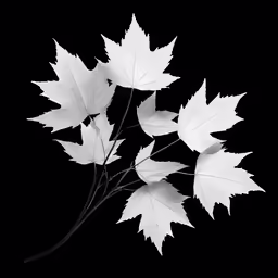 three maple leaves with black and white background