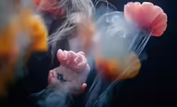 the baby is in front of a blurry jellyfish