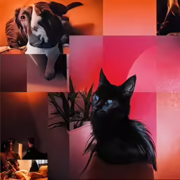 a photo of a dog on the wall with a cat on it