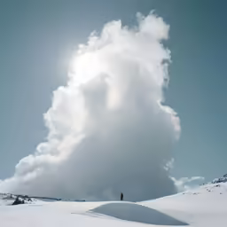 the snow has fallen off of its surface