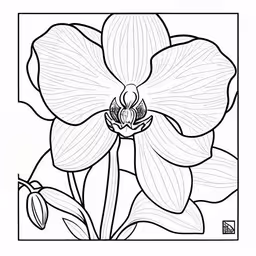 flowers with lines drawn in the middle of it,coloring page with flower pictures to color