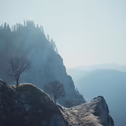 there are two trees at the top of the mountain