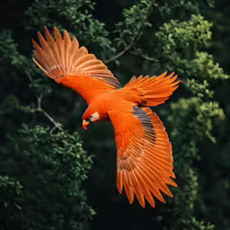 the bird is flying through the air and landing on its wing