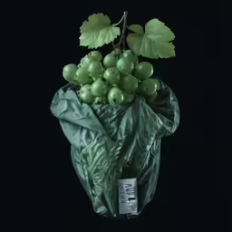 grapes are still in the green wrap on a black background
