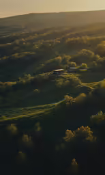 the sunlight shines on a green hillside that is near many trees