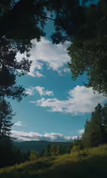 a sky filled with clouds over some trees