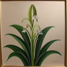 a painting of some flowers with green stems,picture of a plant with multiple white and pink flowers on it,this painting has white flowers in the middle of green grass,an artwork is hanging in the frame next to a wall,an oil painting of a plant with pink and white flowers
