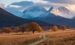 a field and some trees are next to a mountain