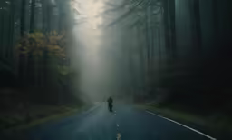 a person rides a motorcycle on a foggy road