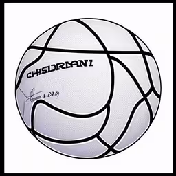 the white ball has a black outline on it,a basketball with the word